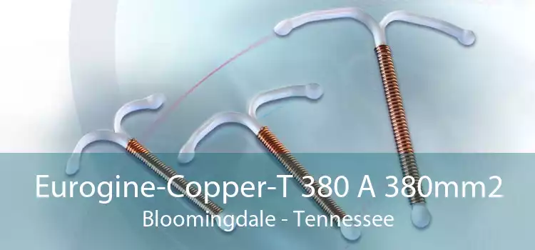 Eurogine-Copper-T 380 A 380mm2 Bloomingdale - Tennessee